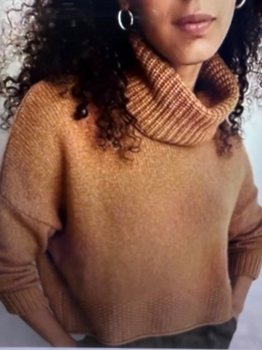 Madewell Sadler Turtleneck Sweater Camel Tan Brown Womens Med Boxy Cropped Fit